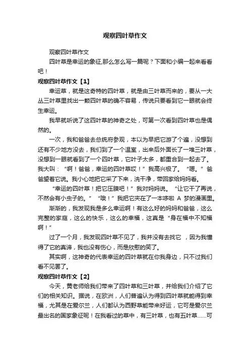 观察四叶草作文