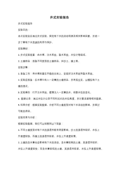 井式实验报告