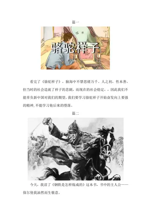 综素B4课外阅读写实记录5篇