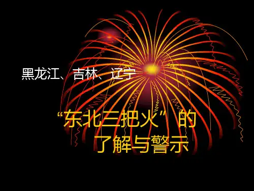 吉林宝源丰等火灾事故警示 Microsoft PowerPoint 演示文稿
