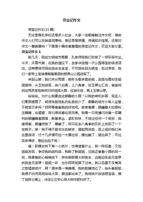 寻宝记作文