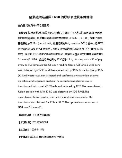 猪繁殖候选基因 Lhx8的原核表达及条件优化