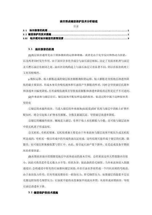 《油田形成储层保护技术分析综述2400字》