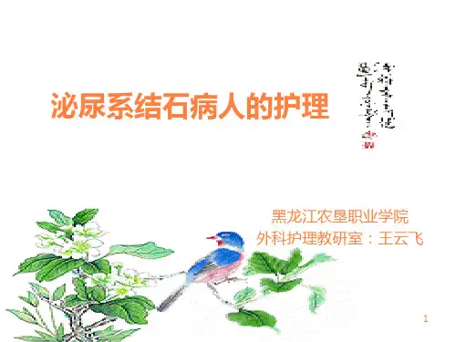 泌尿系结石ppt课件