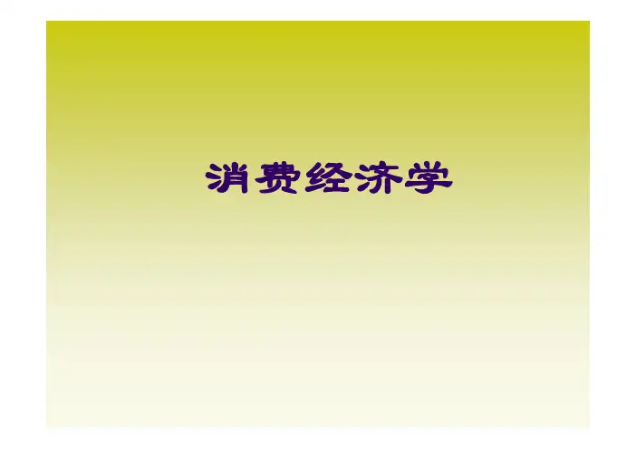 消费经济学