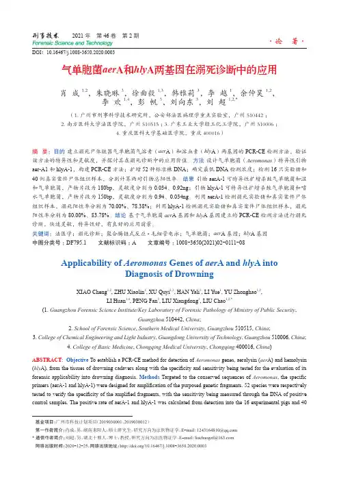 气单胞菌aerA和hlyA两基因在溺死诊断中的应用