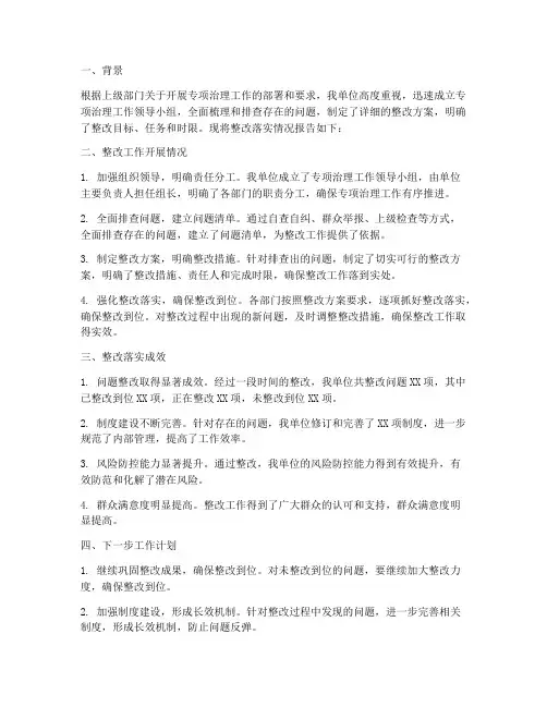 整改落实专项治理报告情况