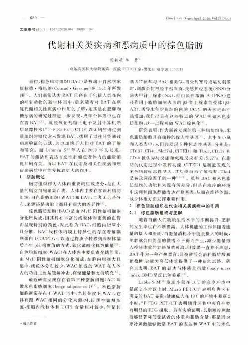 代谢相关类疾病和恶病质中的棕色脂肪