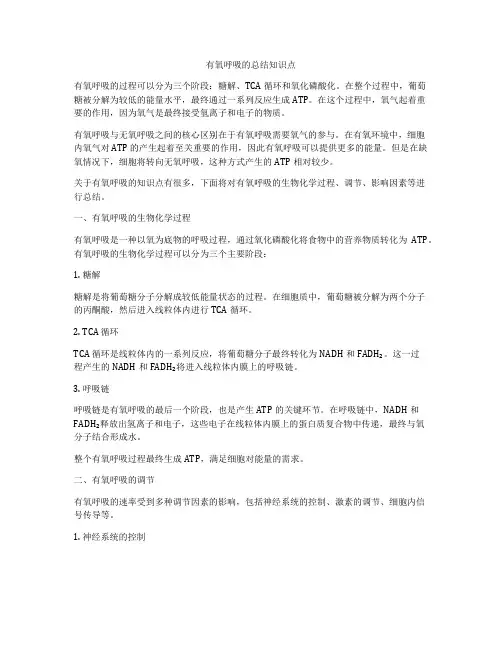 有氧呼吸的总结知识点
