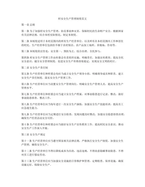 村安全生产管理制度范文