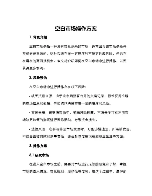 空白市场操作方案
