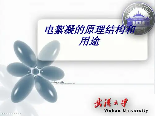 电絮凝的原理结构和用途PPT培训课件
