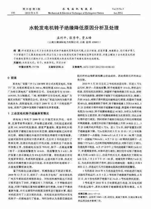 水轮发电机转子绝缘降低原因分析及处理