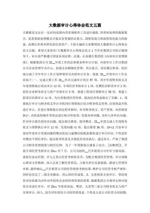 大数据审计心得体会范文五篇