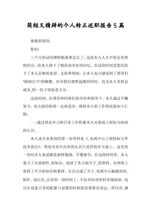 简短又精辟的个人转正述职报告5篇