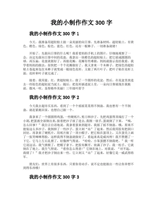我的小制作作文300字