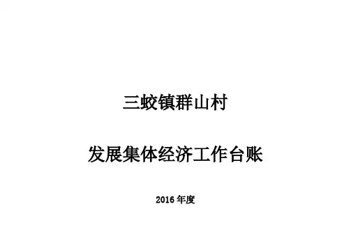 集体经济规划台帐