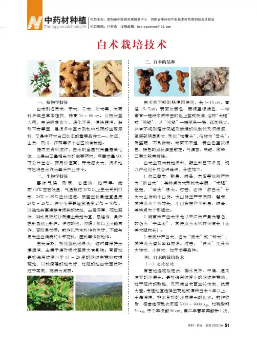白术栽培技术