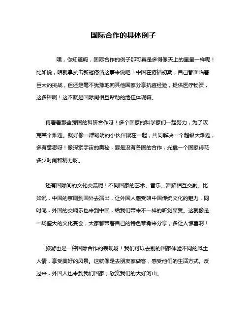 国际合作的具体例子