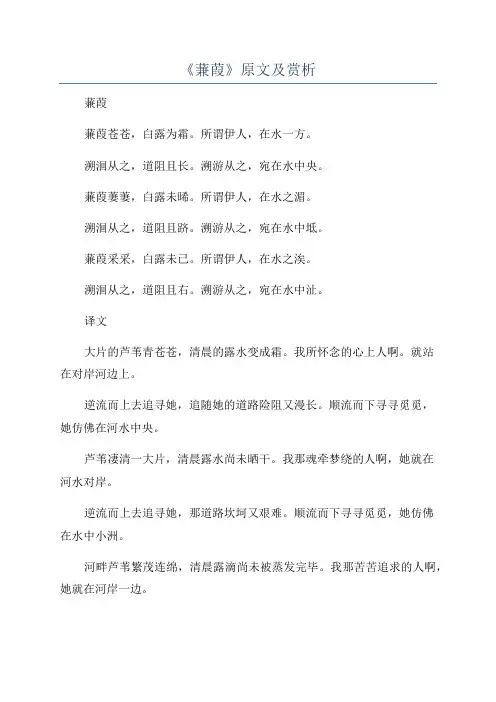 《蒹葭》原文及赏析