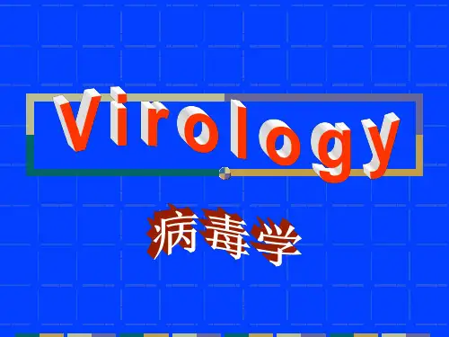 发现第一个病毒---烟草花叶病毒.ppt