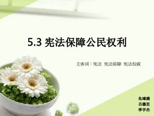 5.3宪法保障公民权利