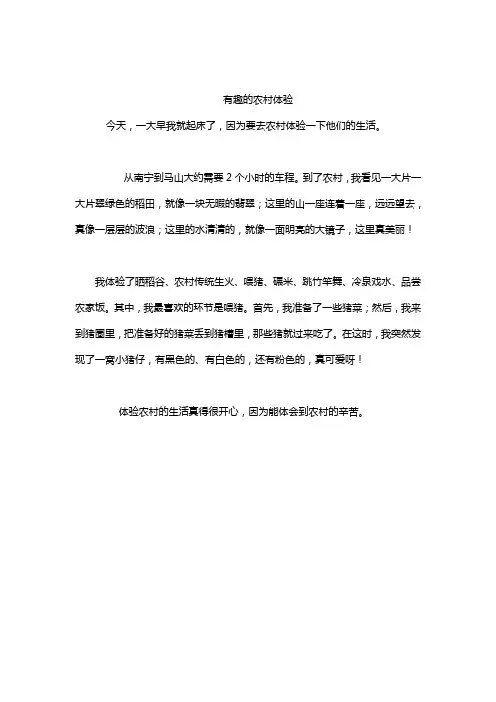 有趣的农村体验 