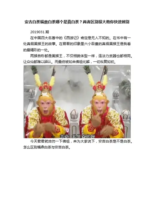 安吉白茶福鼎白茶哪个是真白茶？两者区别很大教你快速辨别