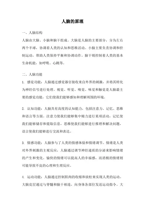 人脑的原理