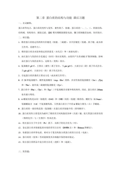 蛋白质思考题