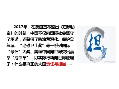 九下道德与法治3.1中国担当优秀PPT课件