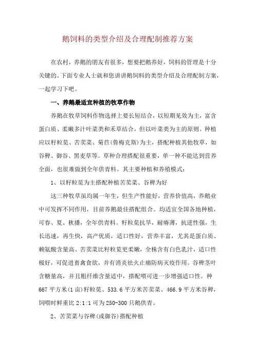 鹅饲料的类型介绍及合理配制推荐方案