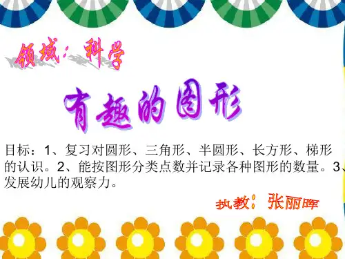 幼儿园大班数学活动课件PPT：有趣的图形-优质(绘本)课件