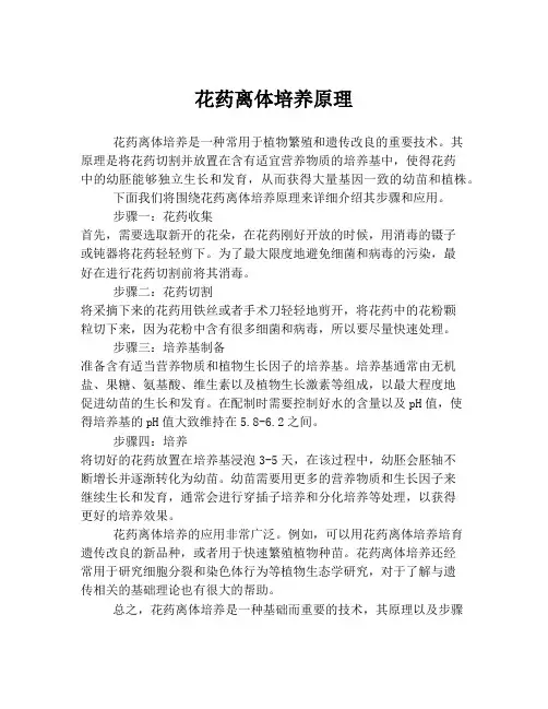 花药离体培养原理