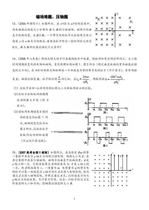 磁场(难题、压轴题).