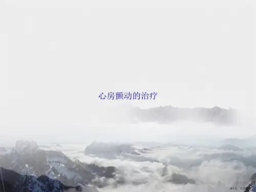 心房颤动的治疗讲课文档