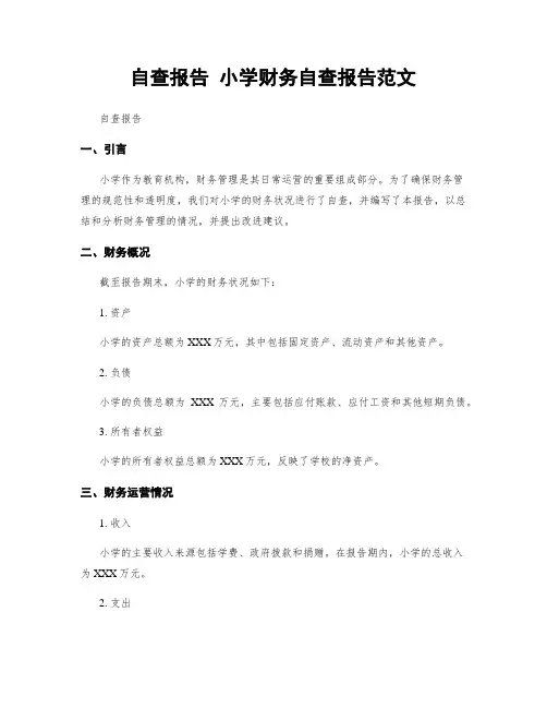 自查报告 小学财务自查报告范文