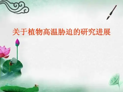 关于植物高温胁迫的研究进展