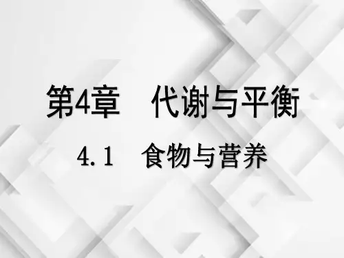 浙江版(2013)九年级上同步科学课件：4.1 食物与营养(7张ppt)