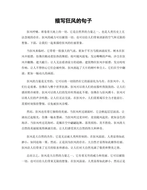描写狂风的句子