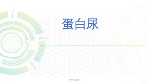 蛋白尿医学PPT课件