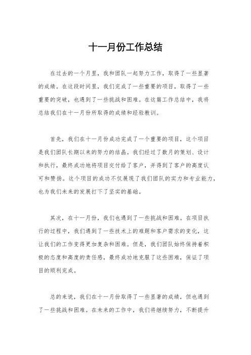 十一月份工作总结