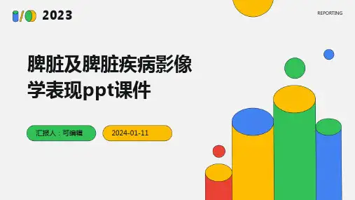 脾脏及脾脏疾病影像学表现ppt课件