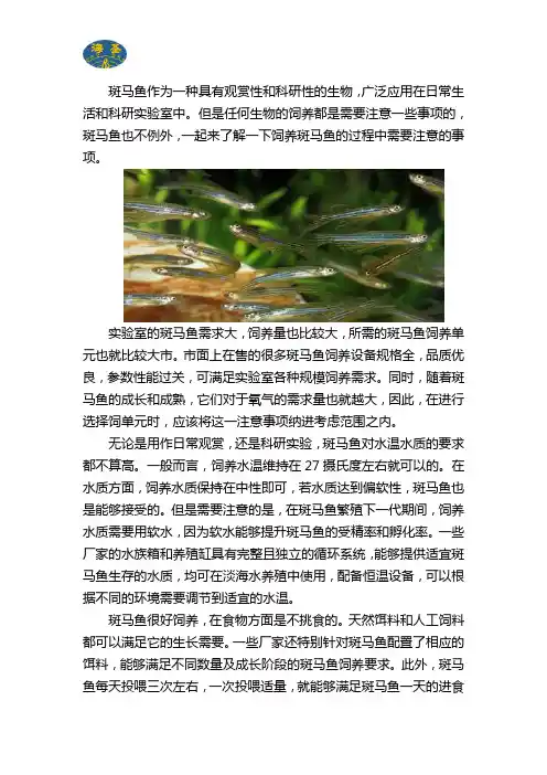 斑马鱼饲养注意事项