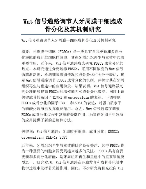 Wnt信号通路调节人牙周膜干细胞成骨分化及其机制研究