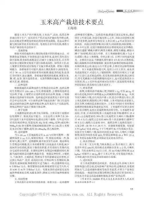 玉米高产栽培技术要点
