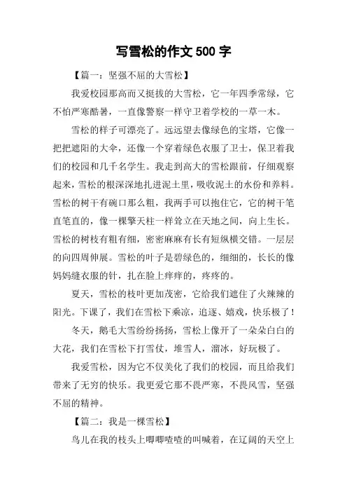 写雪松的作文500字