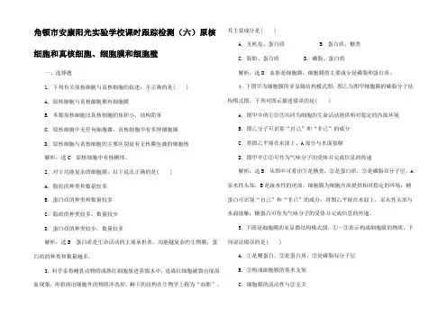 高中生物(六)原核细胞和真核细胞细胞膜和细胞壁1高中1生物试题