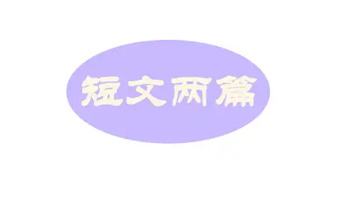 九年级语文下册短文两篇《谈读书》《不求甚解》课件3