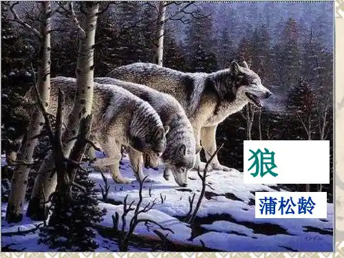蒲松龄狼复习课省名师优质课赛课获奖课件市赛课一等奖课件